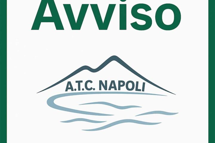 avviso_large